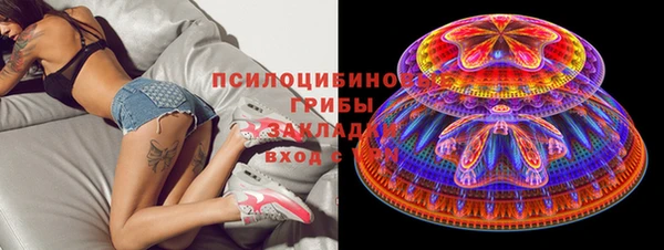 гашик Алзамай